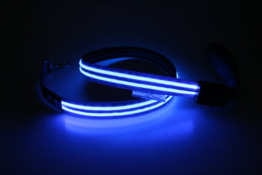 LED Neon Blue Leash