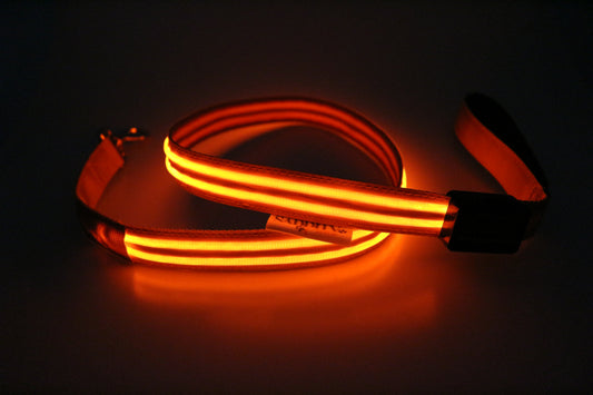 LED Neon Orange Leash